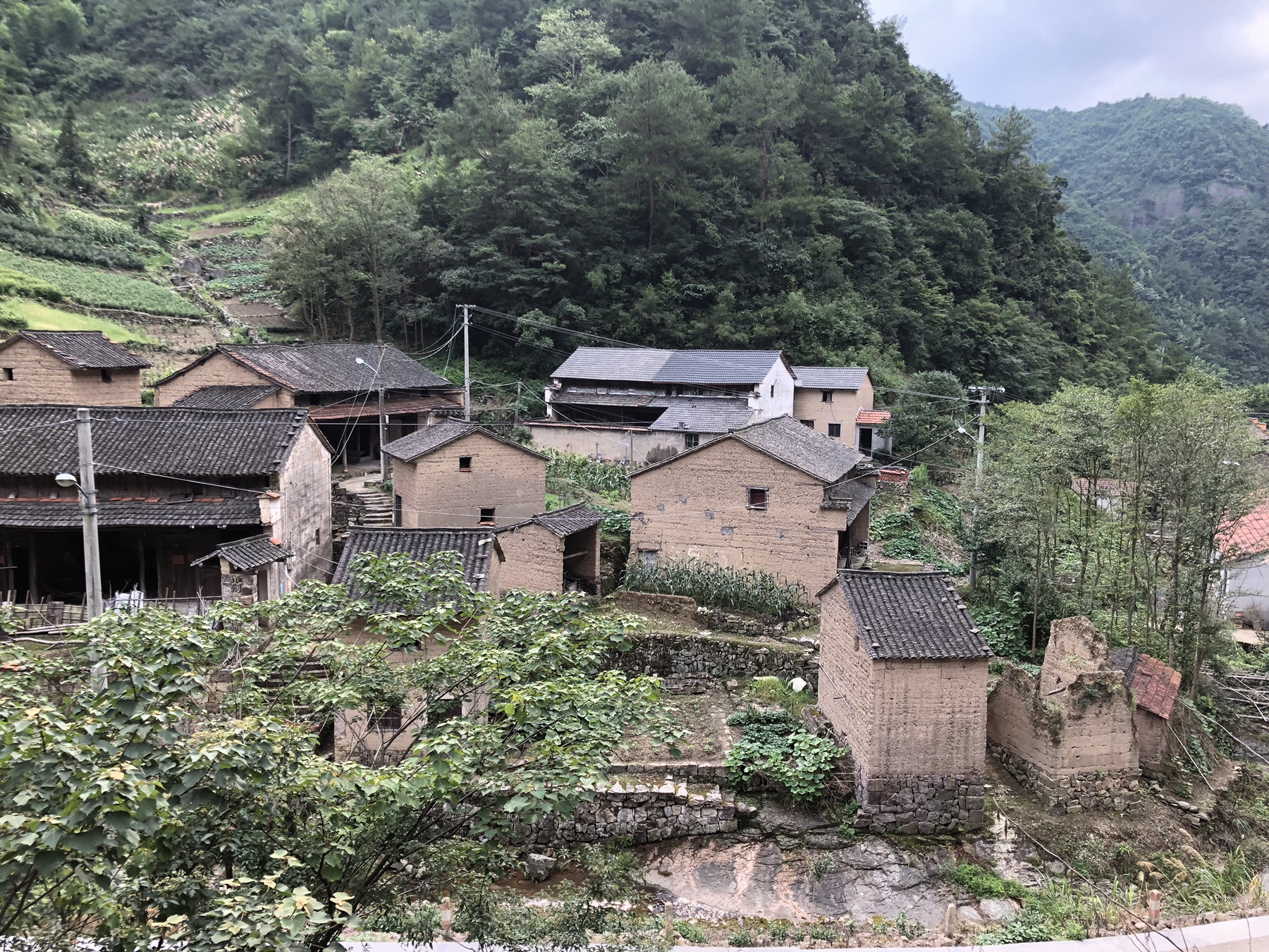 ku娛樂真人體育平臺下載集團舉行“千企結千村 消滅薄弱村”鄉村基金設立暨村企結對簽約儀式